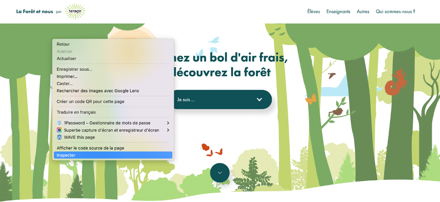 Menu contextuel du navigateur, option Inspecter