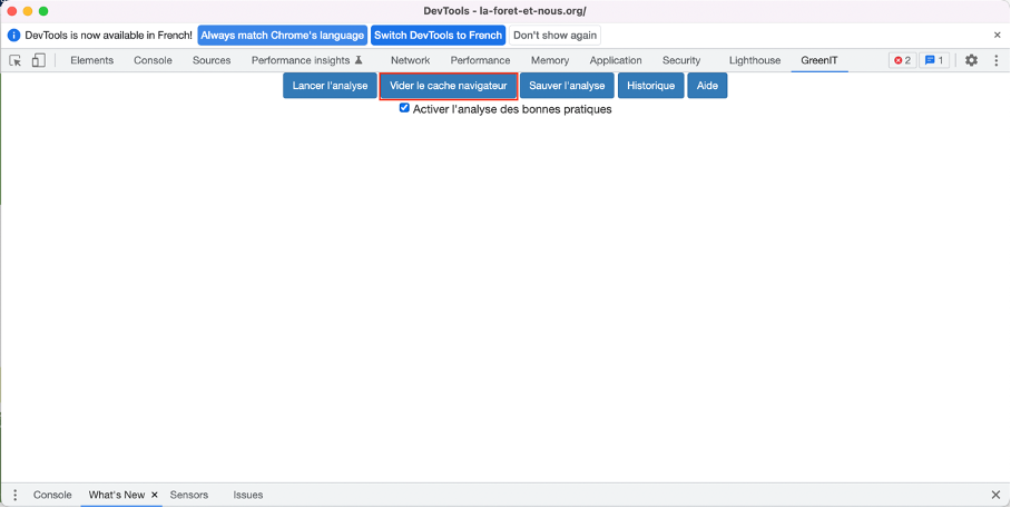 Options Activer l'analyse des bonnes pratiques et vider le cache navigateur