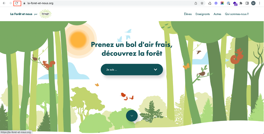Rechargement de la page avant la mesure